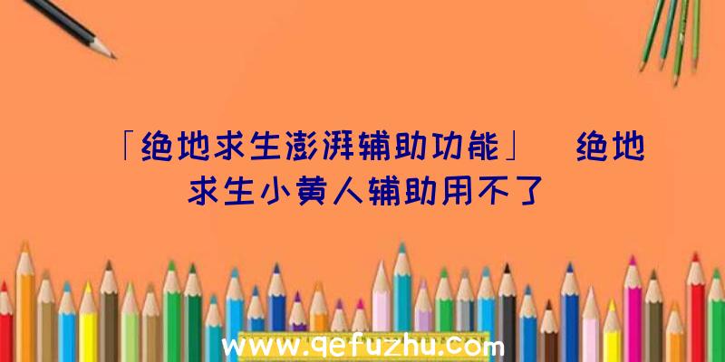 「绝地求生澎湃辅助功能」|绝地求生小黄人辅助用不了